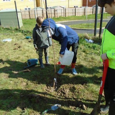 Young Tree Champions